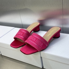 Christian Dior Slippers